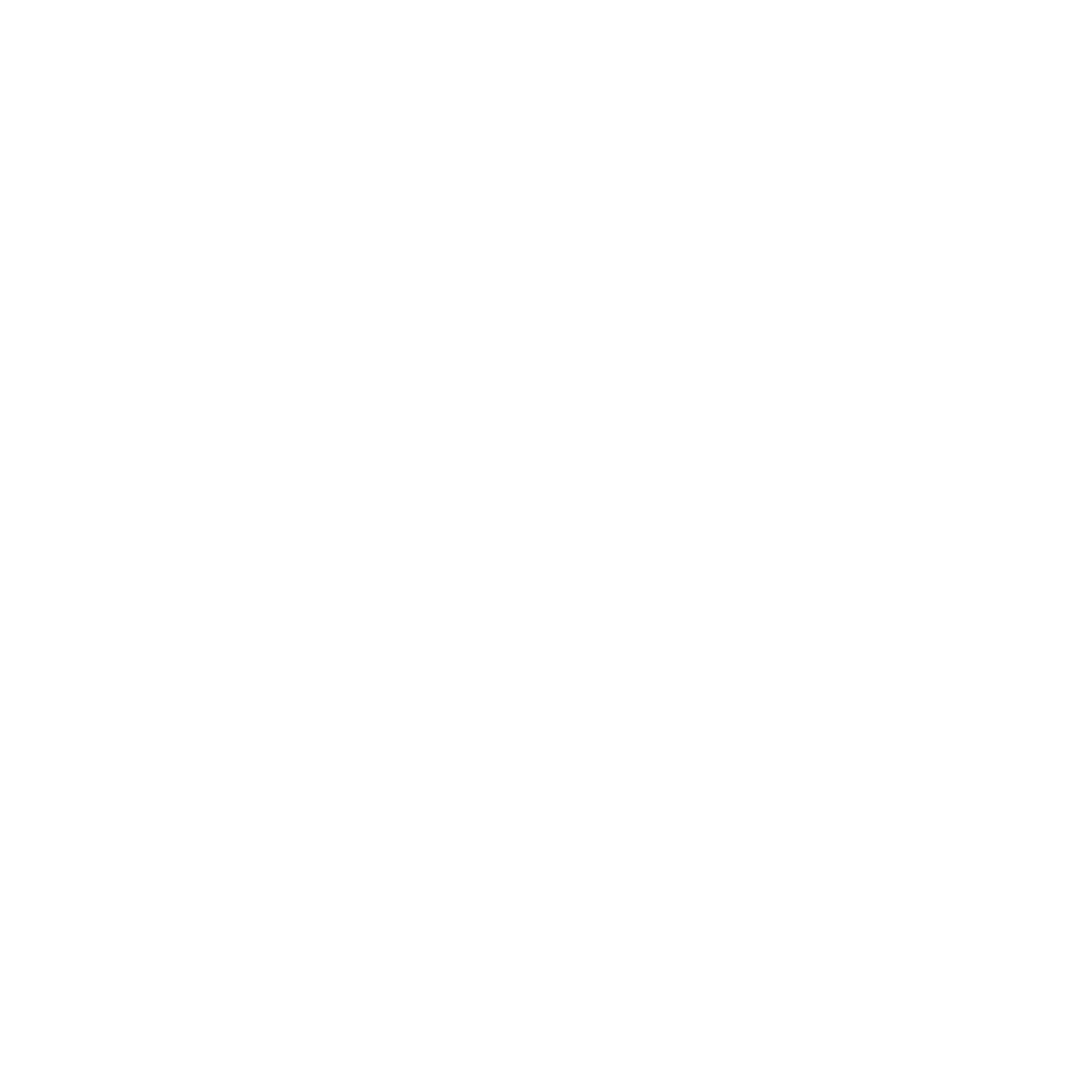 Great Wolf Lodge Flyway